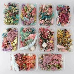 several plastic containers filled with different types of flowers