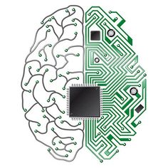 an electronic circuit board in the shape of a human brain with green and black parts