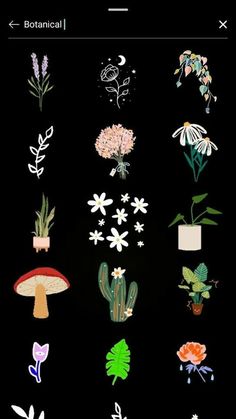 an image of flowers and plants on a black background