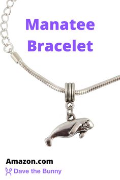 a silver necklace with a dolphin on it and the words manatee bracelet above it