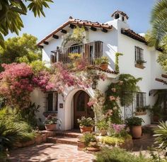 a white house with lots of potted plants