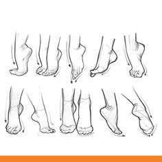 various stages of the foot and ankles