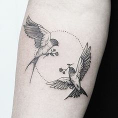 two birds flying next to each other on the arm