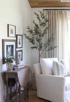 a living room filled with furniture and a potted plant on top of a table