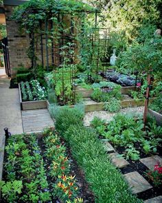 a garden filled with lots of different types of plants and flowers on top of each other