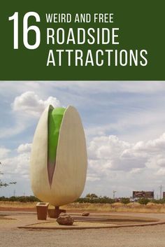 the words weird and free roadside attractions are in front of an image of a large egg