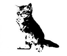 a black and white image of a cat