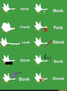 the different types of birds are shown on this green screengrafic poster, which includes