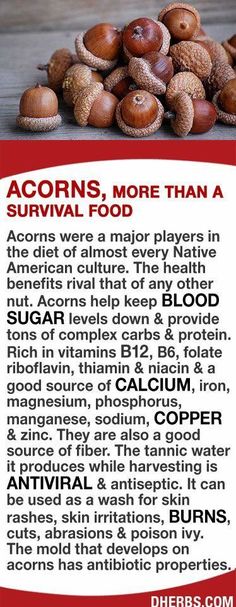 Complex Carbs, Survival Food, Food List, American Culture, Vitamin B12, Healing Herbs, Native American Culture