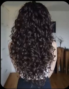 Dark Brown Curly Hair Aesthetic, Dark Brown Curly Hair, Dark Brown Curls Aesthetic, Long Wavy Brown Hair Aesthetic, Long Black Curly Hair Aesthetic Faceless, Brown Long Curly Hair Aesthetic, Curly Blowout, Long Loose Curls, Dark Curly Hair