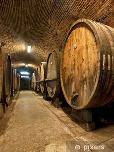 several wooden barrels are lined up in a tunnel