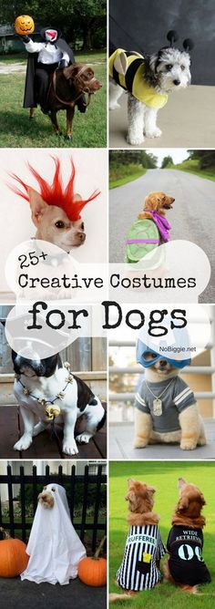 some dogs are dressed up in costumes for halloween