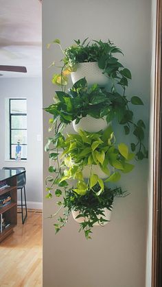 a wall mounted planter filled with lots of green plants on top of a white wall