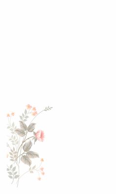 an image of flowers on a white background