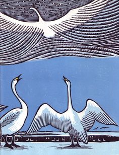 three white birds standing in front of a blue sky with stars and lines on it