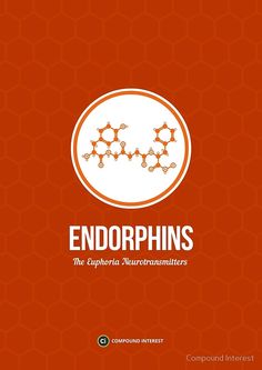 the endorphins logo on an orange background with hexagonals and dots