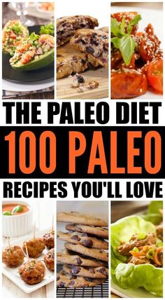 the paleo diet 100 paleo recipes you'll love