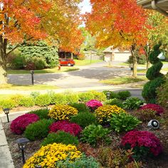 colorful flowers and trees in front of a house