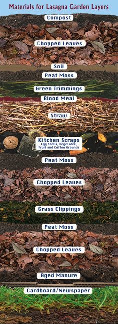 the layers of earth are labeled in several different languages, including one for each layer