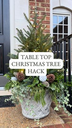 a table top christmas tree has been placed in a planter on the front porch