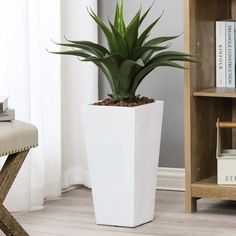 a potted plant sitting on top of a wooden table next to a book shelf