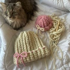 a cat laying on top of a bed next to two knitted hats