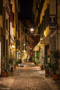 an empty street at night with potted plants on either side and lights hanging from the windows