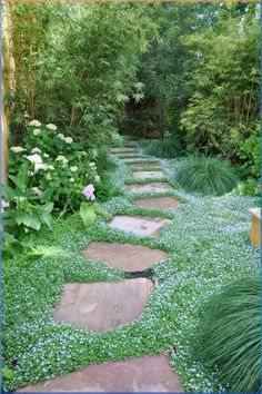 a stone path in the middle of a garden