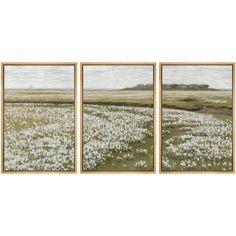 three framed paintings depicting white flowers in a field