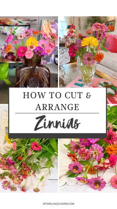 how to cut and arrange zinna flowers