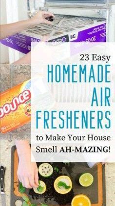 Your Trash, Food Scraps, Chest Workouts, Dryer Sheets, Makeup Tricks, Home Good, House Smells, Living Room Decor Ideas