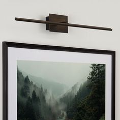 a framed photograph hangs on the wall above a river and forested area, with fog in the air