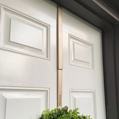 a potted plant sitting on the side of a white door with two doors behind it