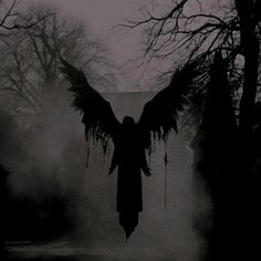 an angel in the dark with its wings spread out, surrounded by fog and trees