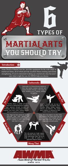 an info sheet describing the different types of aircrafts and their characteristics in each plane