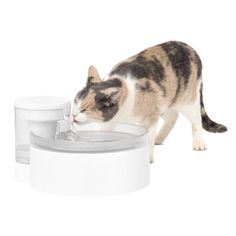 a cat drinking water out of a fountain on a white background with its head in it's mouth