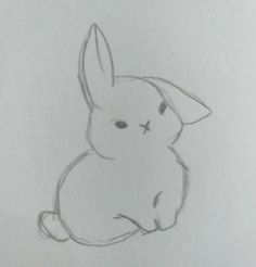 a pencil drawing of a rabbit sitting down