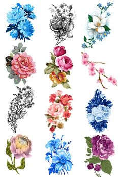 an assortment of flowers on a white background