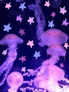 several jellyfish swimming in an aquarium filled with purple and blue water, all looking like stars