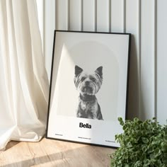 a black and white photo of a dog with the word bella in front of it