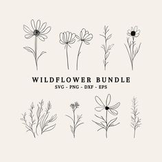 the wildflower bundle is shown in black and white, with flowers drawn on it