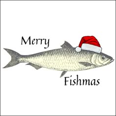 a fish with a santa hat on it's head and the words merry, fishmas