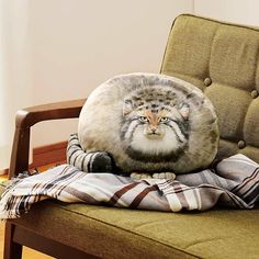 a cat sitting on top of a blanket on a chair