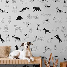 a dog sitting on a bench in front of a wall with dogs drawn on it