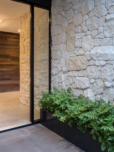 a planter filled with green plants next to a stone wall and glass entry door