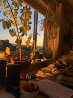 a room with a bed, plant and books on the table in front of a window