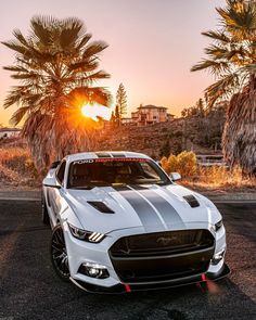 a white car parked on the side of a road next to palm trees at sunset