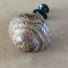 a black and white rock sitting on top of a floor next to a pair of screws