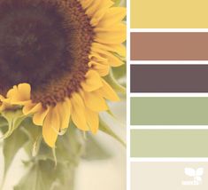 a yellow sunflower with brown and green tones