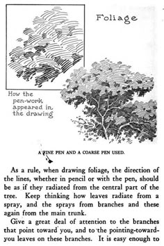 an old book page with trees and text on the bottom right hand corner, which reads folige